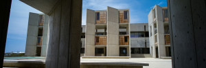 Salk Institute